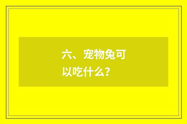 六、宠物兔可以吃什么?