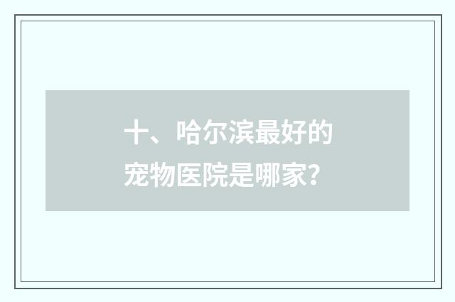 十、哈尔滨最好的宠物医院是哪家?