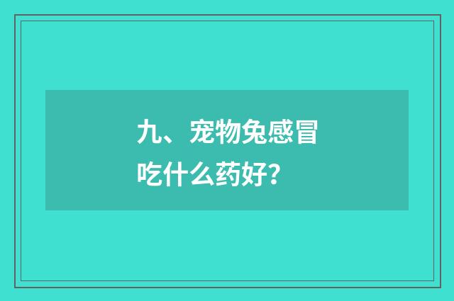 九、宠物兔感冒吃什么药好?