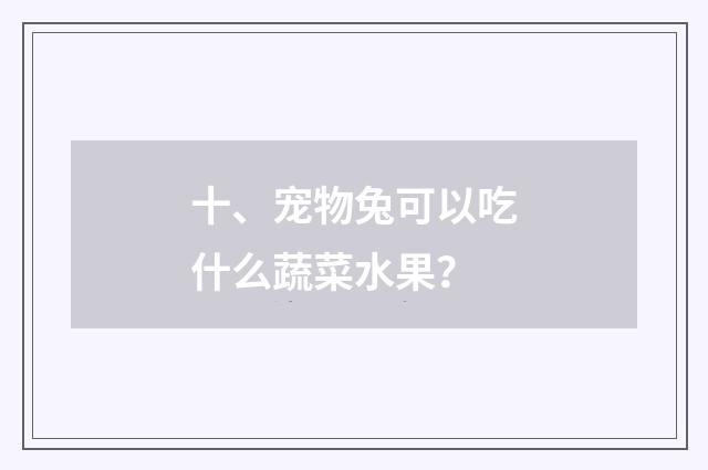 十、宠物兔可以吃什么蔬菜水果？