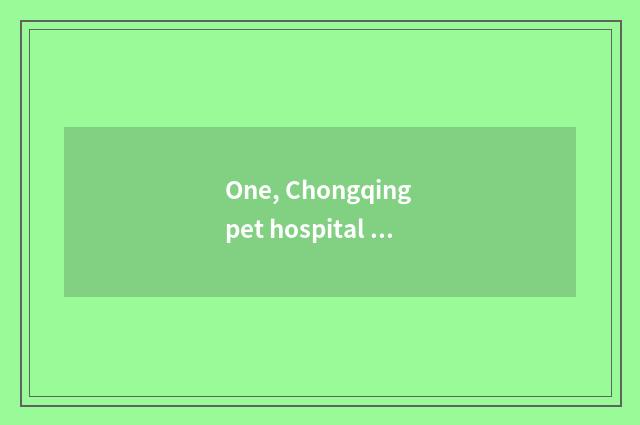 One, Chongqing pet hospital which conscience?