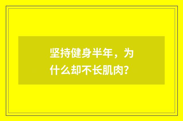 坚持健身半年，为什么却不长肌肉？