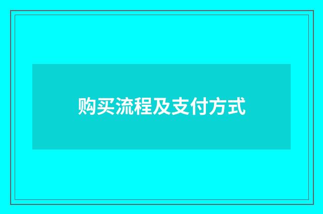 购买流程及支付方式