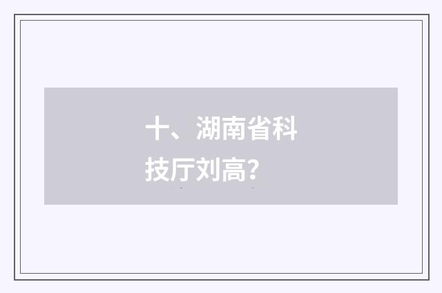 十、湖南省科技厅刘高？