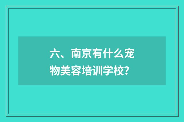 六、南京有什么宠物美容培训学校?