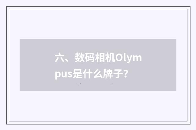 六、数码相机Olympus是什么牌子？