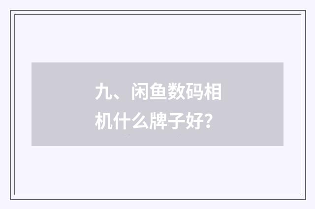 九、闲鱼数码相机什么牌子好?