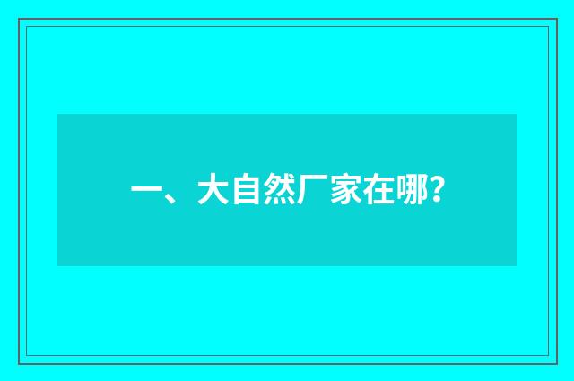 一、大自然厂家在哪?