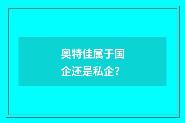 奥特佳属于国企还是私企？