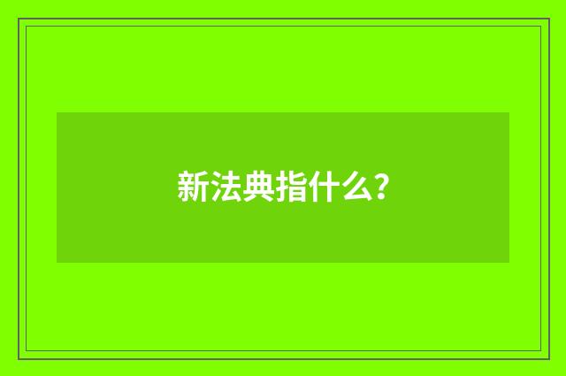 新法典指什么？