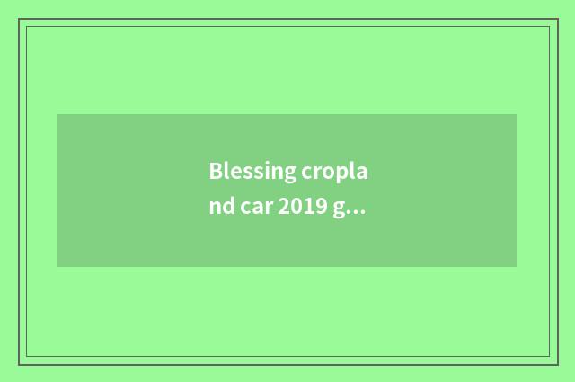 Blessing cropland car 2019 gross of end capital stock?