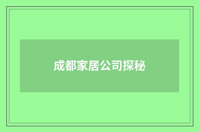 成都家居公司探秘