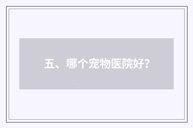 五、哪个宠物医院好?