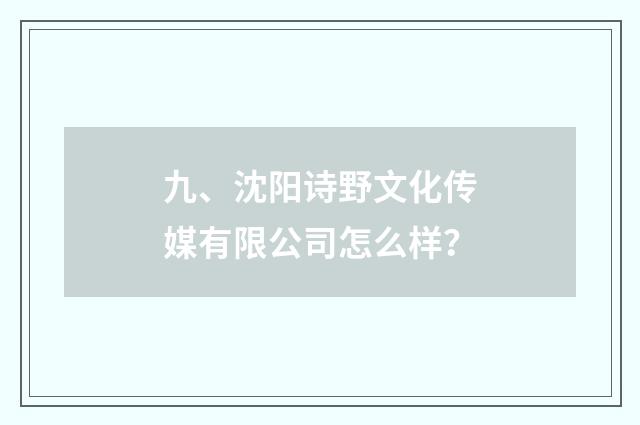 九、沈阳诗野文化传媒有限公司怎么样?