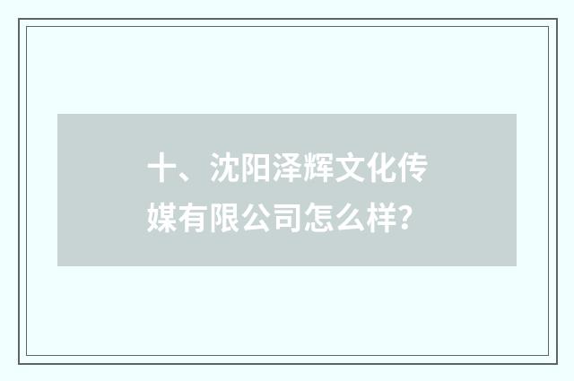 十、沈阳泽辉文化传媒有限公司怎么样?