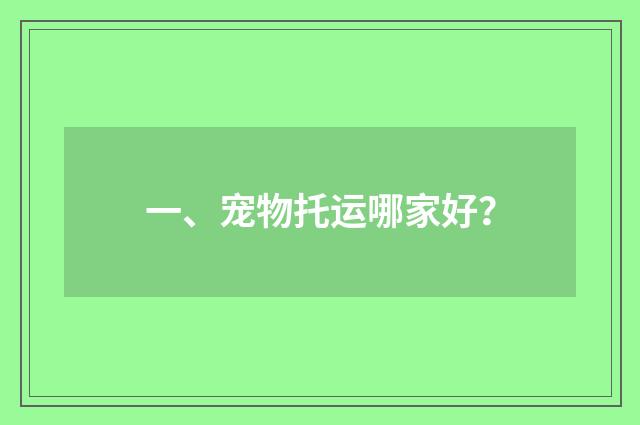 一、宠物托运哪家好？