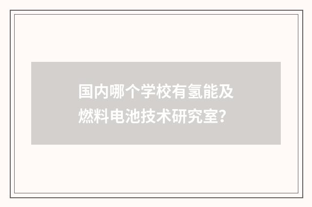 国内哪个学校有氢能及燃料电池技术研究室?