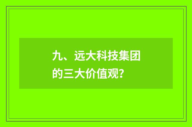九、远大科技集团的三大价值观？