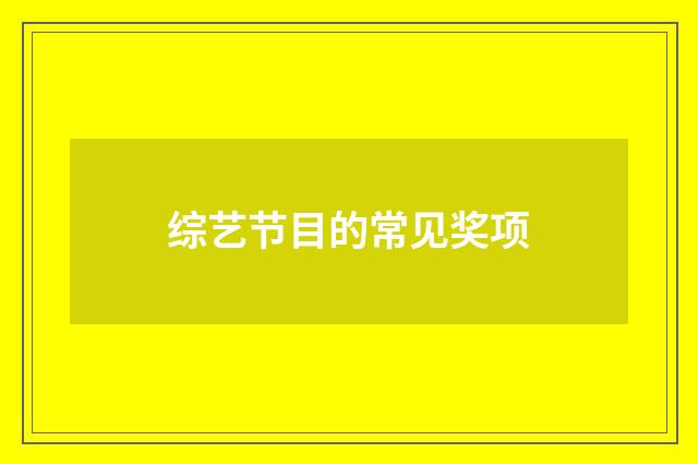 综艺节目的常见奖项