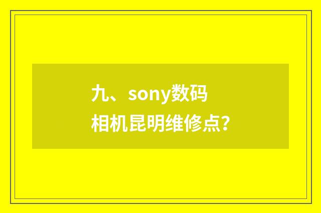 九、sony数码相机昆明维修点?