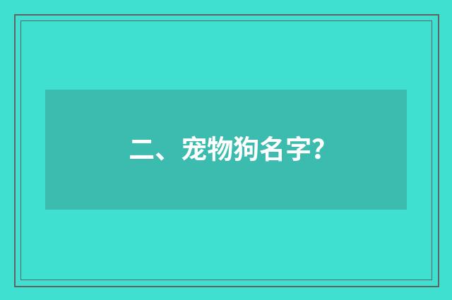 二、宠物狗名字？