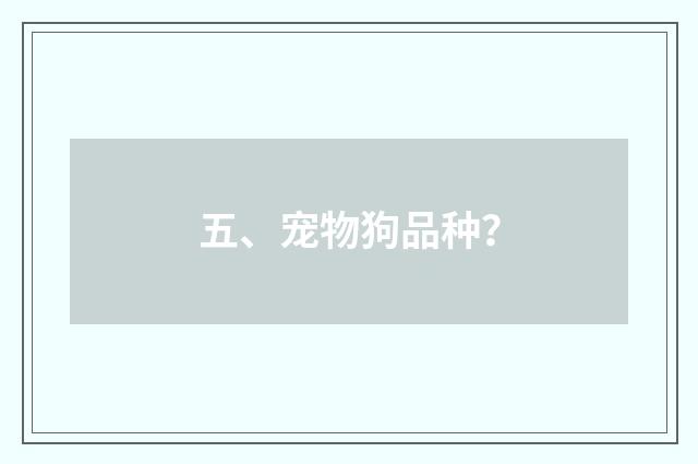 五、宠物狗品种?