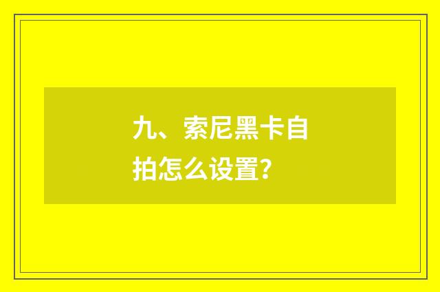 九、索尼黑卡自拍怎么设置？