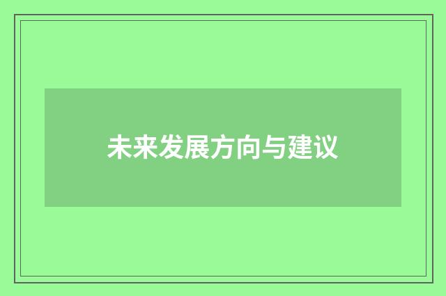 未来发展方向与建议