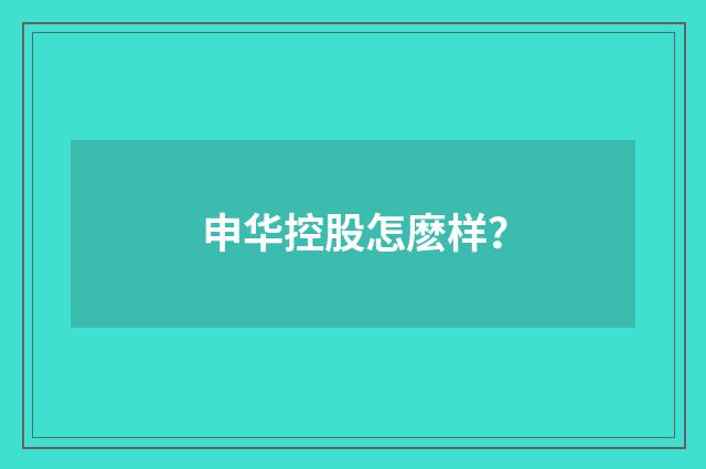 申华控股怎麽样?
