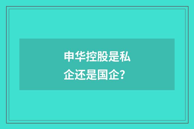 申华控股是私企还是国企?
