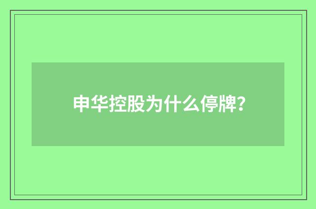 申华控股为什么停牌?