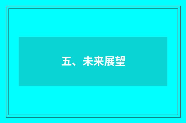 五、未来展望