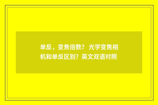 单反,变焦倍数? 光学变焦相机和单反区别?英文双语对照
