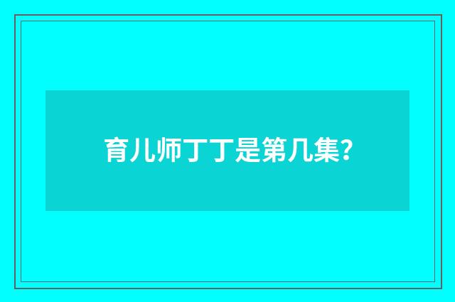 育儿师丁丁是第几集?