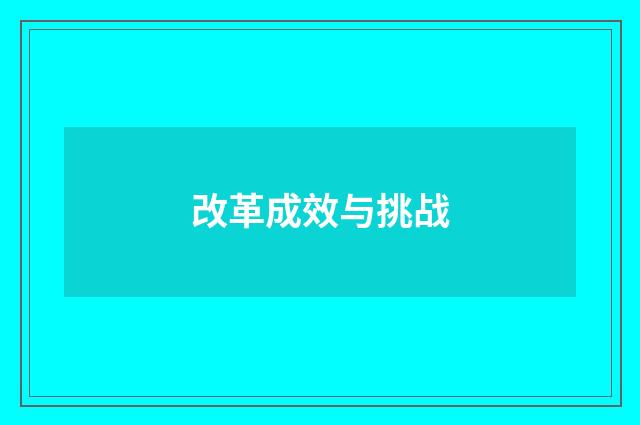 改革成效与挑战