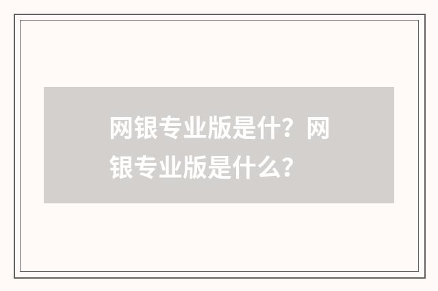 网银专业版是什?网银专业版是什么?