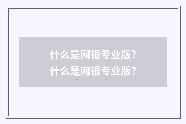 什么是网银专业版?什么是网银专业版?
