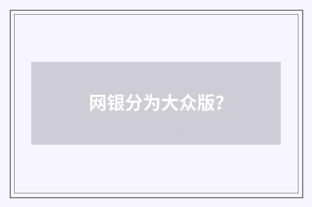 网银分为大众版?
