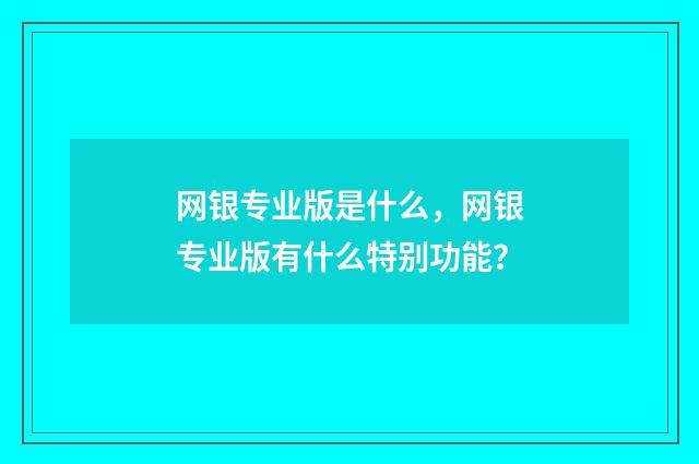 网银专业版是什么,网银专业版有什么特别功能?
