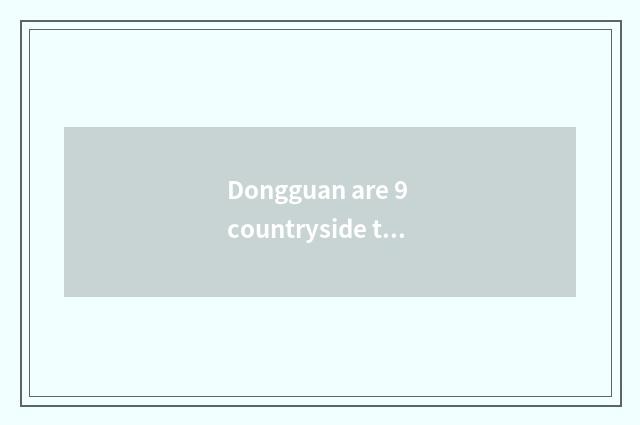 Dongguan are 9 countryside town or countryside?