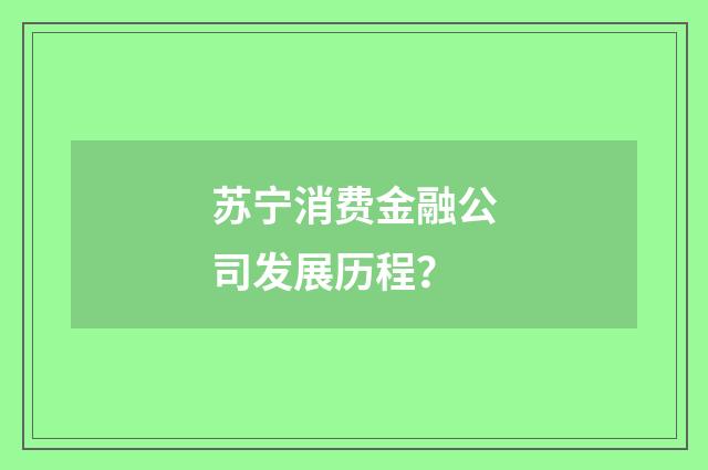 苏宁消费金融公司发展历程?
