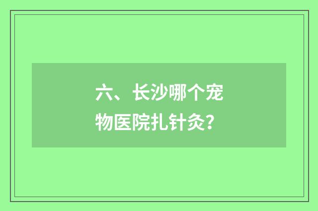 六、长沙哪个宠物医院扎针灸？