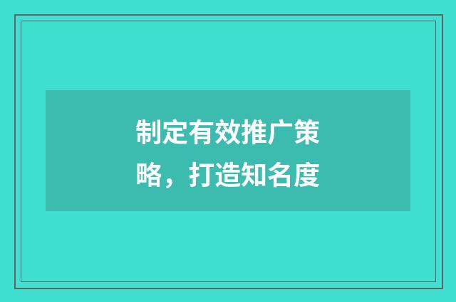 制定有效推广策略,打造知名度