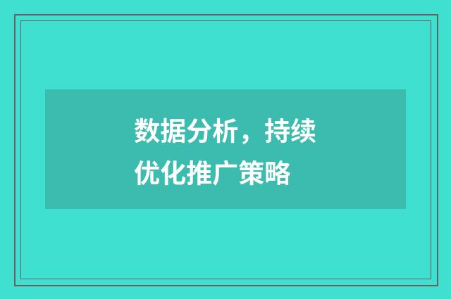 数据分析,持续优化推广策略
