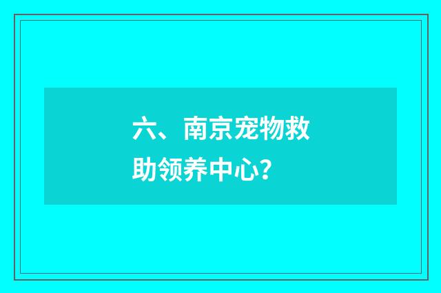 六、南京宠物救助领养中心？
