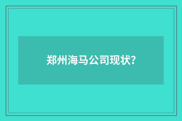 郑州海马公司现状?