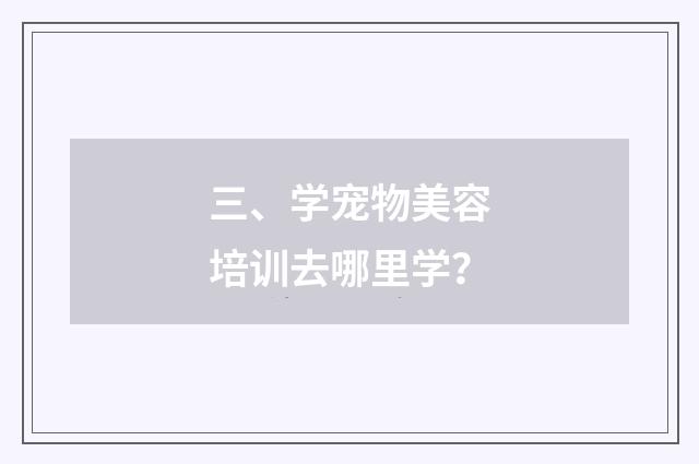 三、学宠物美容培训去哪里学?