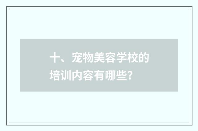 十、宠物美容学校的培训内容有哪些?