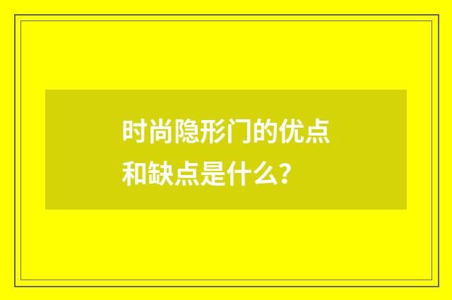 时尚隐形门的优点和缺点是什么？