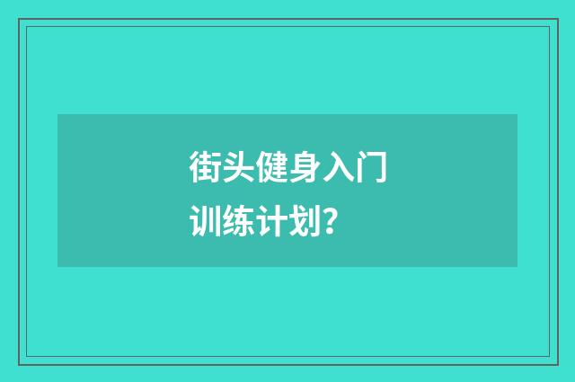 街头健身入门训练计划?